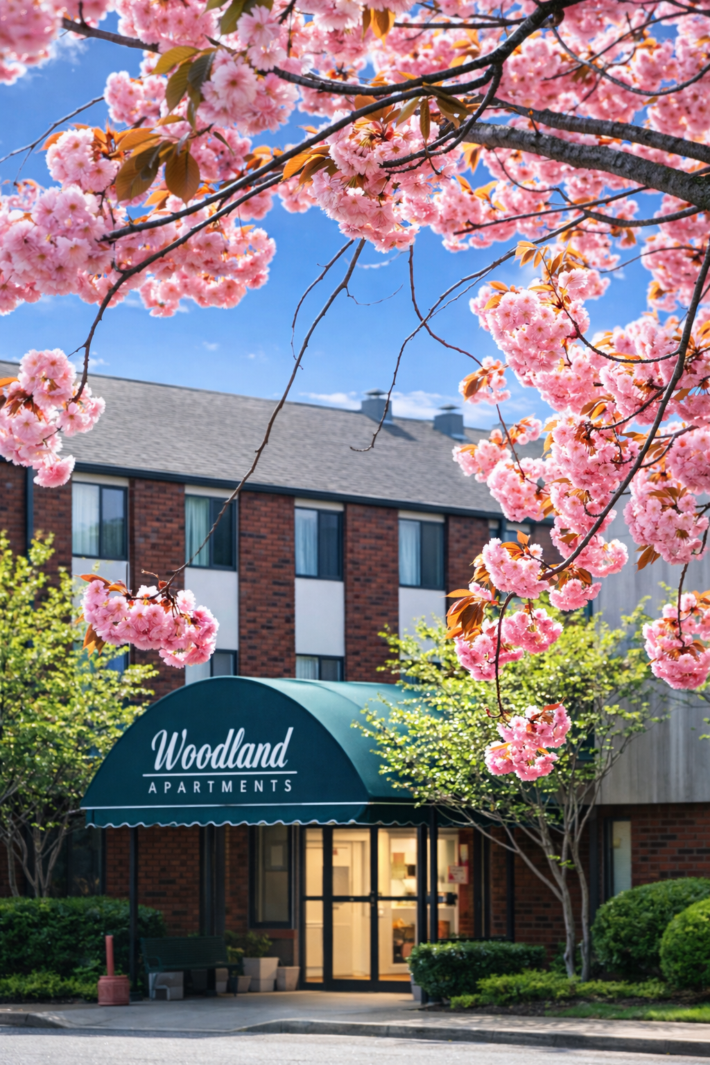 Woodland Apartment
